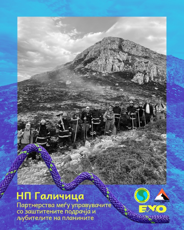 Partnerships between protected area managers