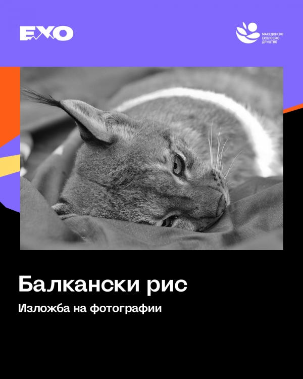 &bdquo;Балкански рис&ldquo; - фото изложба